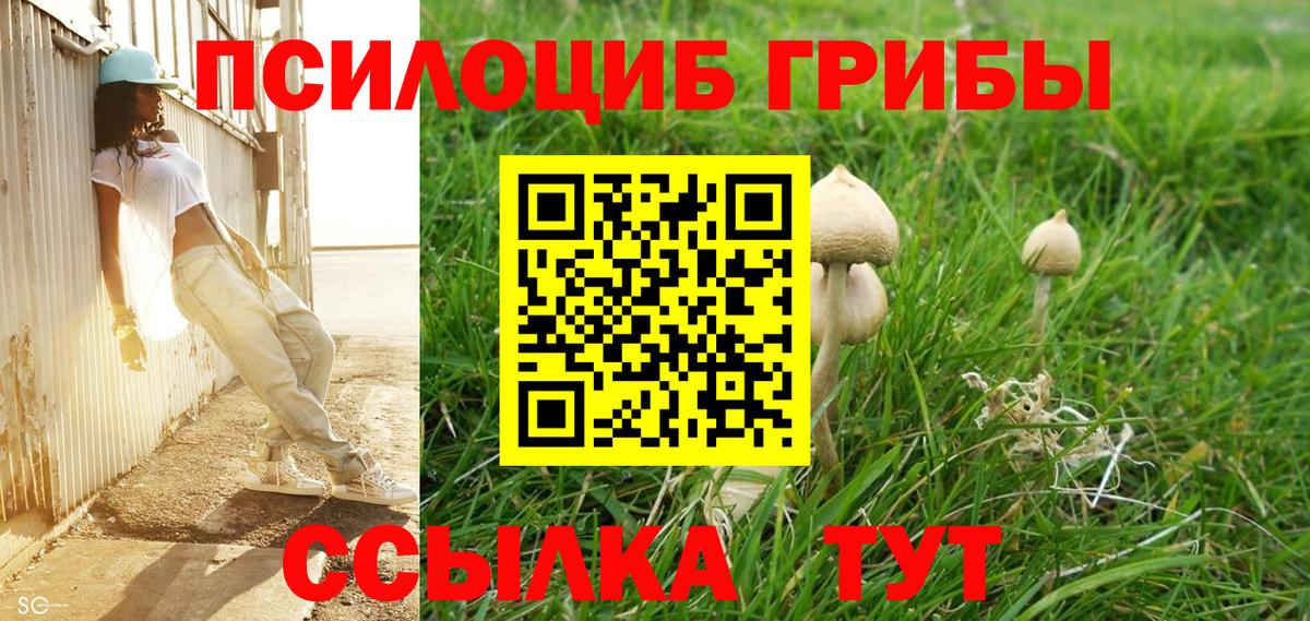 Псилоцибиновые грибы Cubensis Реж
