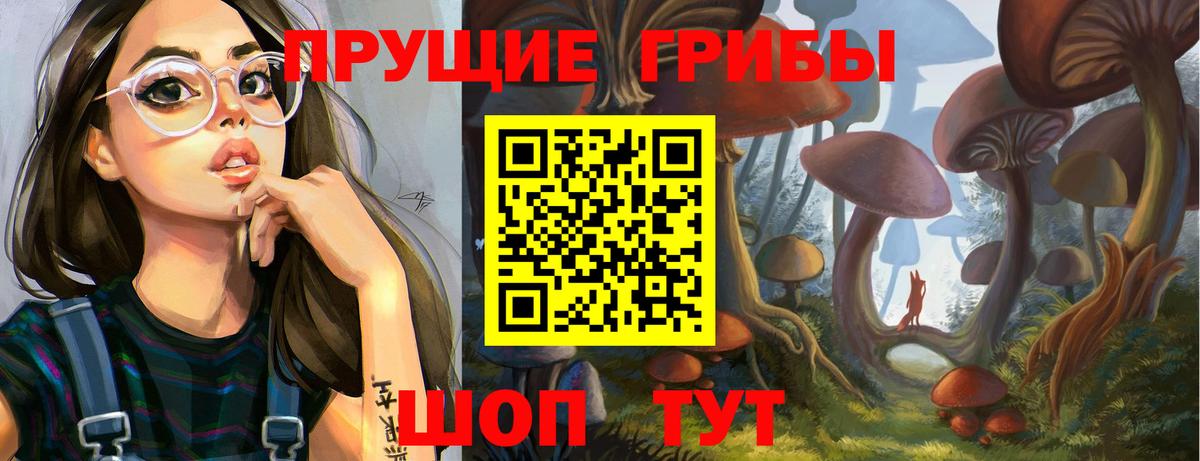 Псилоцибиновые грибы прущие грибы  Вход с VPN  Реж 