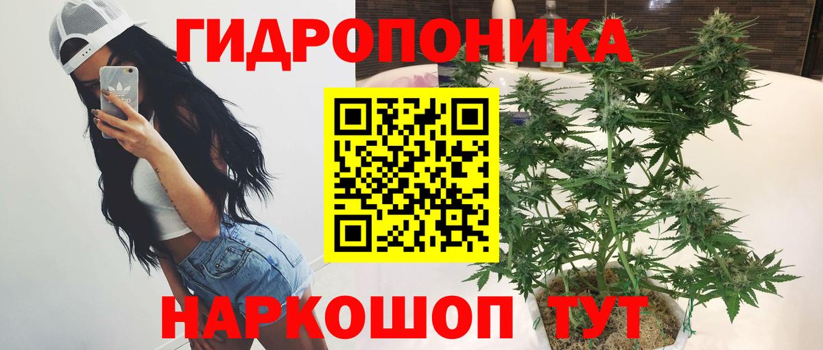 Реж  Бошки Шишки VHQ  Каннабис Amnesia  Шишки марихуана план  Вход с VPN 